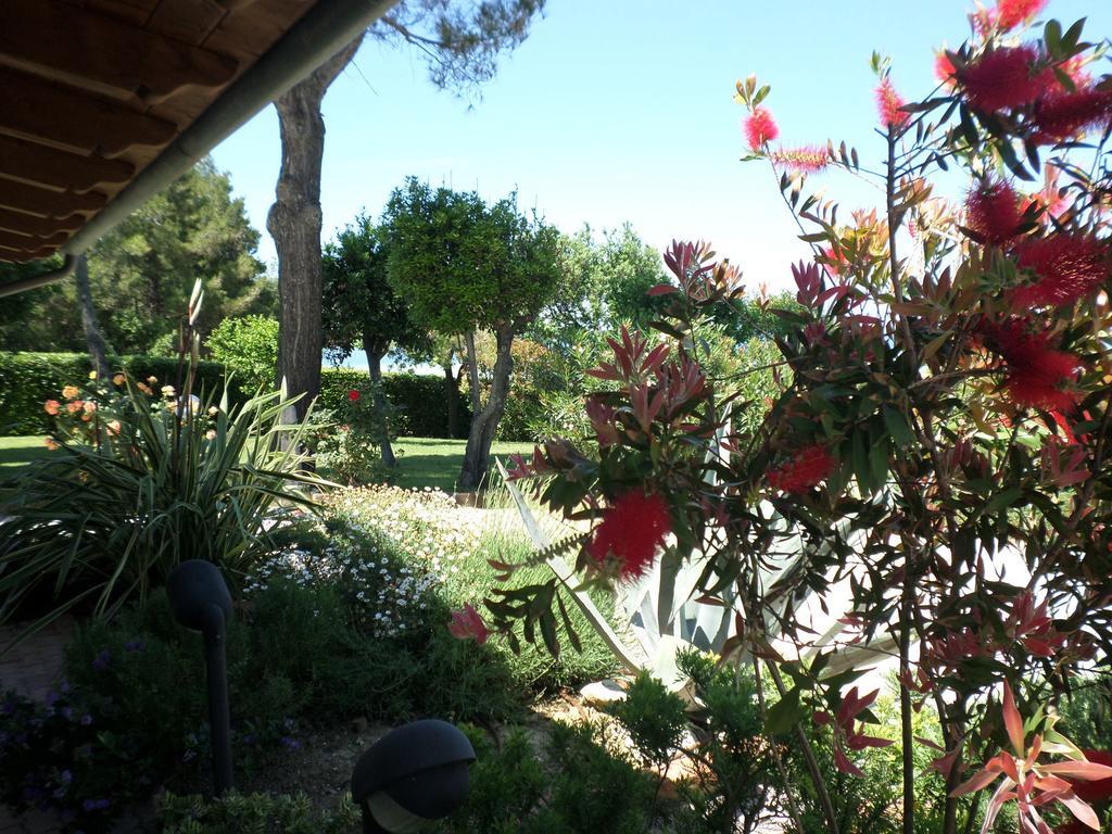 Bed And Breakfast " Il Tesoro Di Mario " Falconara Marittima Exterior photo