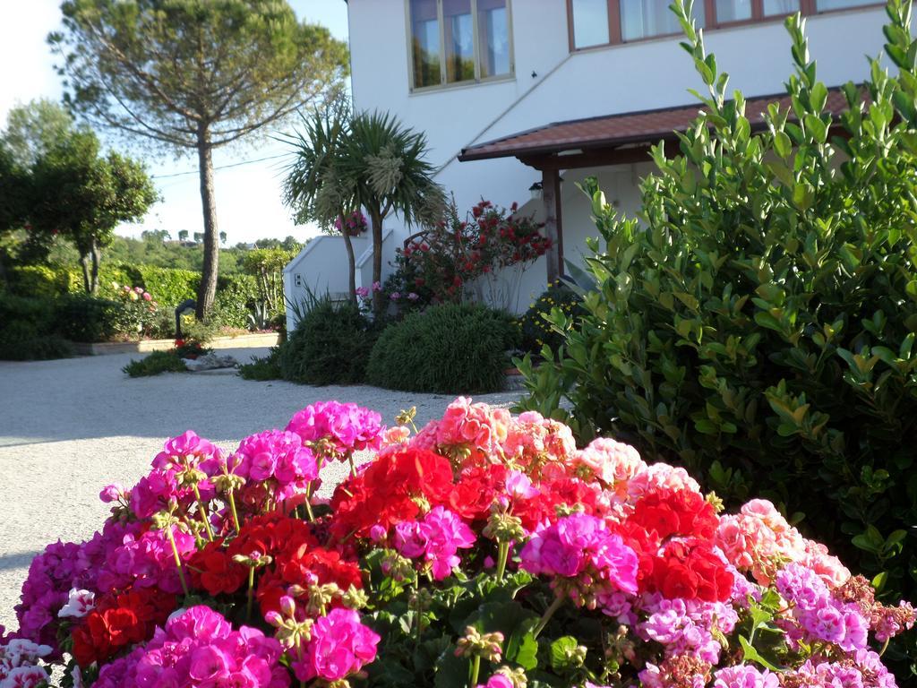 Bed And Breakfast " Il Tesoro Di Mario " Falconara Marittima Exterior photo