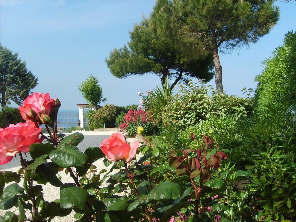 Bed And Breakfast " Il Tesoro Di Mario " Falconara Marittima Exterior photo